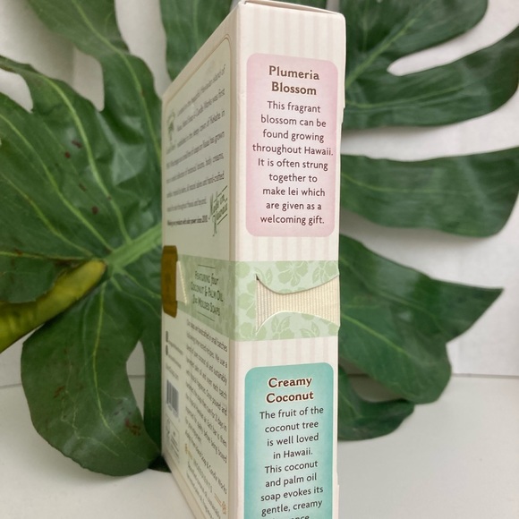 Hawaiian Botanics Set of 4 - Picture 4 of 4